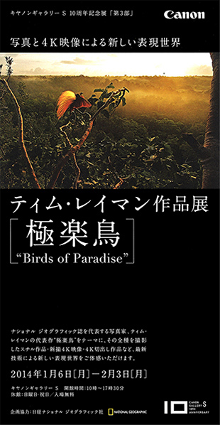 第92回展 ティム・レイマン「極楽鳥